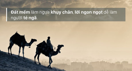 Người Do Thái với triết lý làm thay đổi cuộc đời bạn - Ảnh 12 Nguoi Do Thai voi triet ly lam thay doi cuoc doi ban - Anh 12