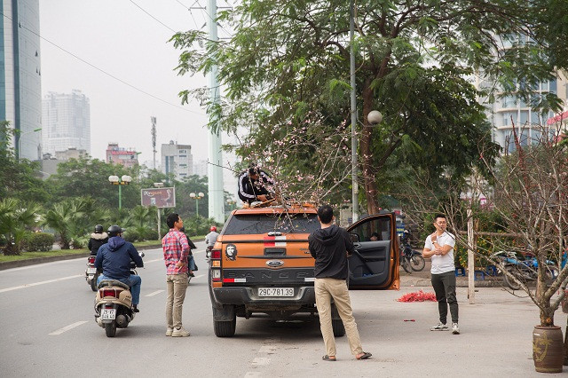 Đi dọc đường Hà Nội, đặc biệt là ở những khu bán cây cảnh nổi tiếng như chợ hoa Quảng Bá, vườn đào Nhật Tân, làng hoa Vạn Phúc, Tân Triều, chợ Bưởi... người mua có thể chọn được cành đào ưng ý vì có rất nhiều nơi bán.
