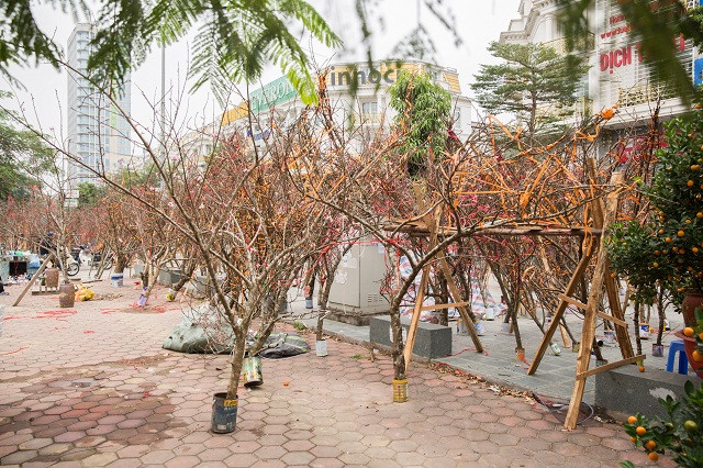 Theo nhiều thương lái cho biết mặc dù an ninh ở đây rất tốt nhưng vẫn phải có người thay nhau ngủ lại để tránh trường hợp bị trộm.