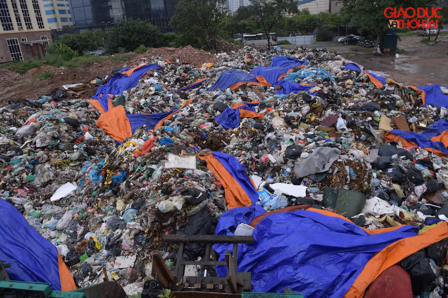 Bãi rác tạm đã cao hơn người trưởng thành