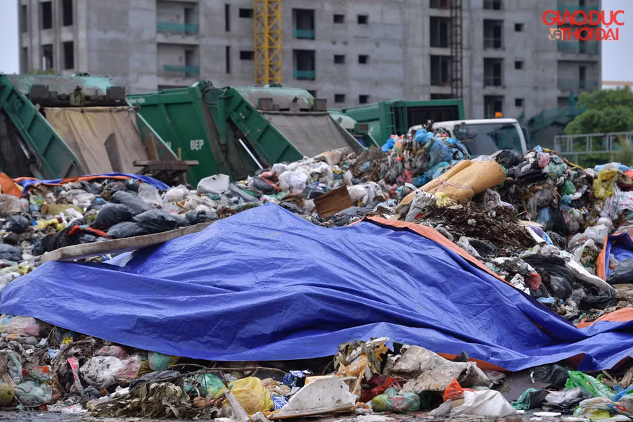 Rác thải sinh hoạt hàng ngày vẫn được đổ trực tiếp xuống mặt đất, không có sự che đậy, quy hoạch tại nơi đây