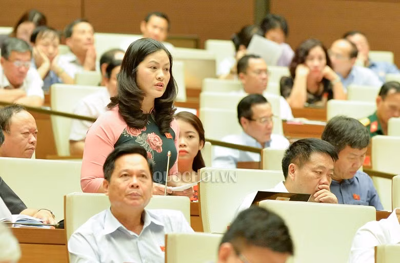 Đại biểu Vương Ngọc Hà: Nếu khẳng định ngay người bị tố cáo là người có hành vi bị tố cáo là chưa hoàn toàn chính xác