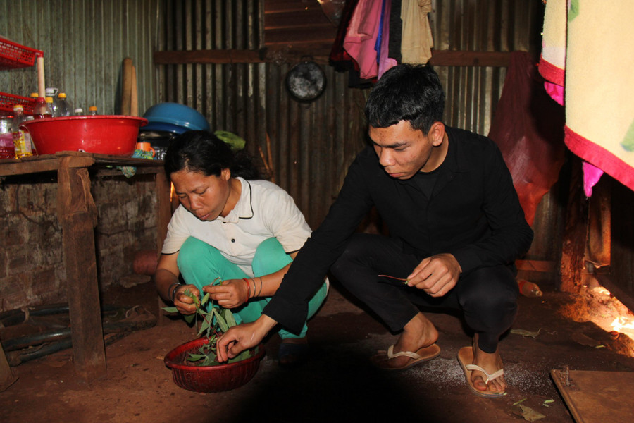 Ksor Hương hái lá mì để muối chua cho mẹ làm thức ăn vào những ngày em đi học vắng nhà. Ksor Hương hái lá mì để muối chua cho mẹ làm thức ăn vào những ngày em đi học vắng nhà.