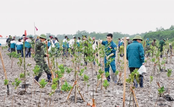 Ảnh minh họa/internet