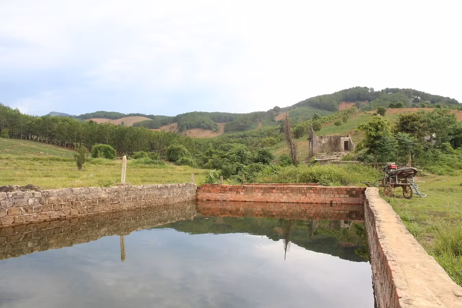 Khu vực hồ lắng bị rêu bao phủ kín xung quanh.