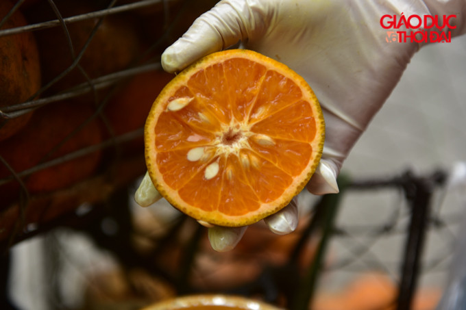 Với tâm lý uống nước cam sẽ tăng được đề kháng, tốt cho sức khoẻ, nhất là trong những ngày dịch Covid-19, nên số lượng cam được bán ra nơi đây tăng mạnh.