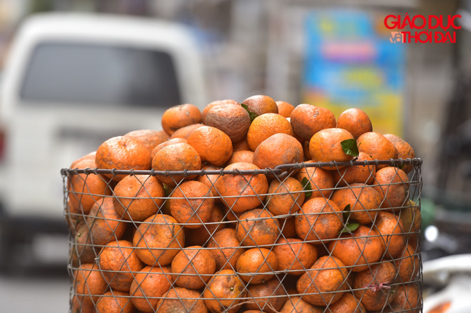 Cam có nguồn gốc từ Tuyên Quang, Hà Giang....