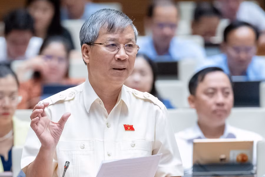 Đại biểu Nguyễn Anh Trí.