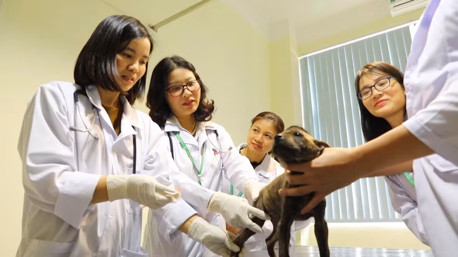 GS.TS.NGƯT Nguyễn Thị Lan (thứ hai, từ trái sang) cùng các sinh viên.