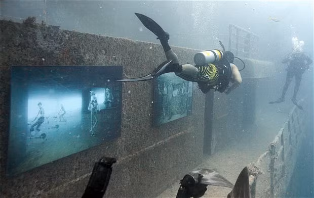 Những hình ảnh ấn tượng tuần qua ảnh 9 Divers examine pictures by Austrian photographer Andreas Franke along the deck of Gen. Hoyt S Vandenberg artificial reef, 90 feet deep in the Florida Keys National Marine Sanctuary off Key West. Franke created and installed a dozen digitally composited images to create the underwater art exhibition.