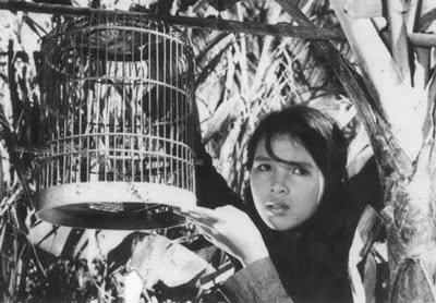 "Con chim vành khuyên": Ngày ấy, bây giờ