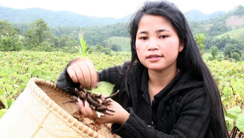 Cổ tích mùa thi