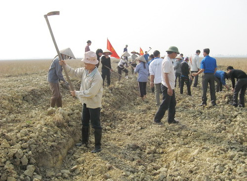 Dồn điền đổi thửa, xây dựng nông thôn mới ở Sóc Sơn ảnh 3 Dồn điền đổi thửa, xây dựng nông thôn mới ở Sóc Sơn ảnh 3