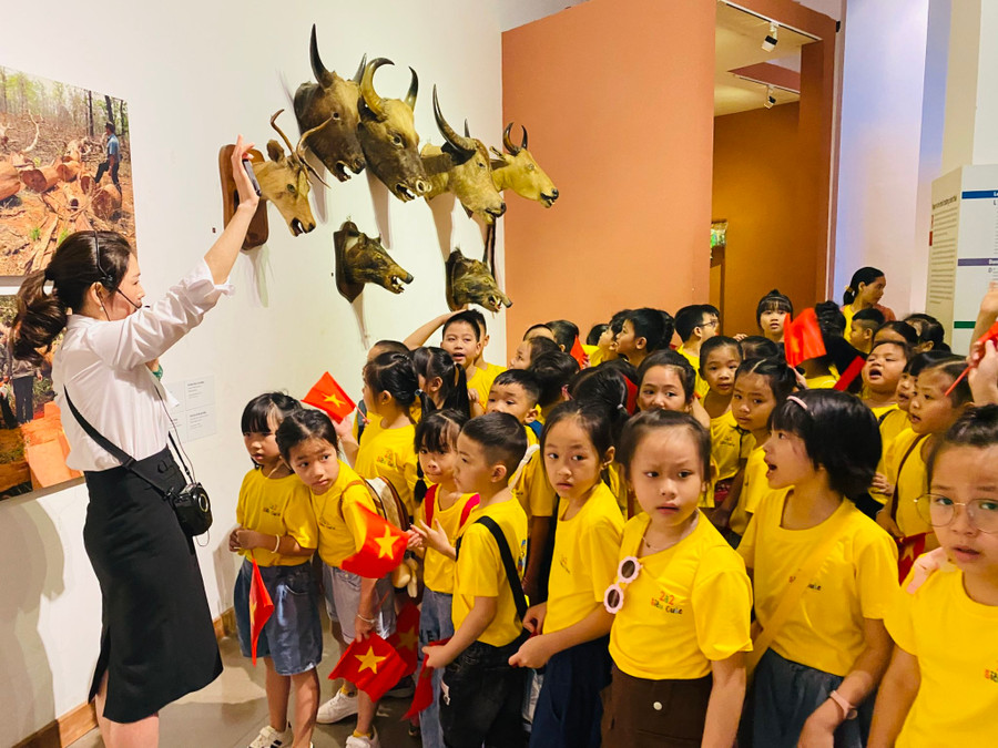 Các em học sinh được giới thiệu mẫu vật các loài động vật hoang dã và các biện pháp để bảo vệ động vật. Các em học sinh được giới thiệu mẫu vật các loài động vật hoang dã và các biện pháp để bảo vệ động vật.