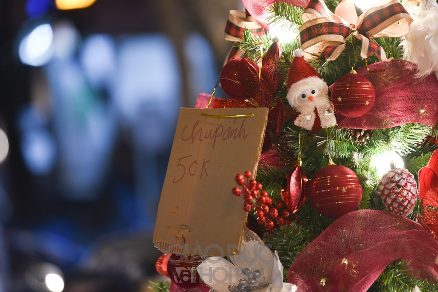 Cho dù thế, nhiều tấm biển &quot; lạ&quot; năm nay cũng đã thấy trên phố Hàng Mã.