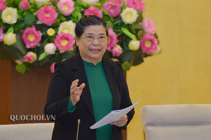 Phó Chủ tịch Quốc hội Tòng Thị Phóng phát biểu tại phiên họp Phó Chủ tịch Quốc hội Tòng Thị Phóng phát biểu tại phiên họp