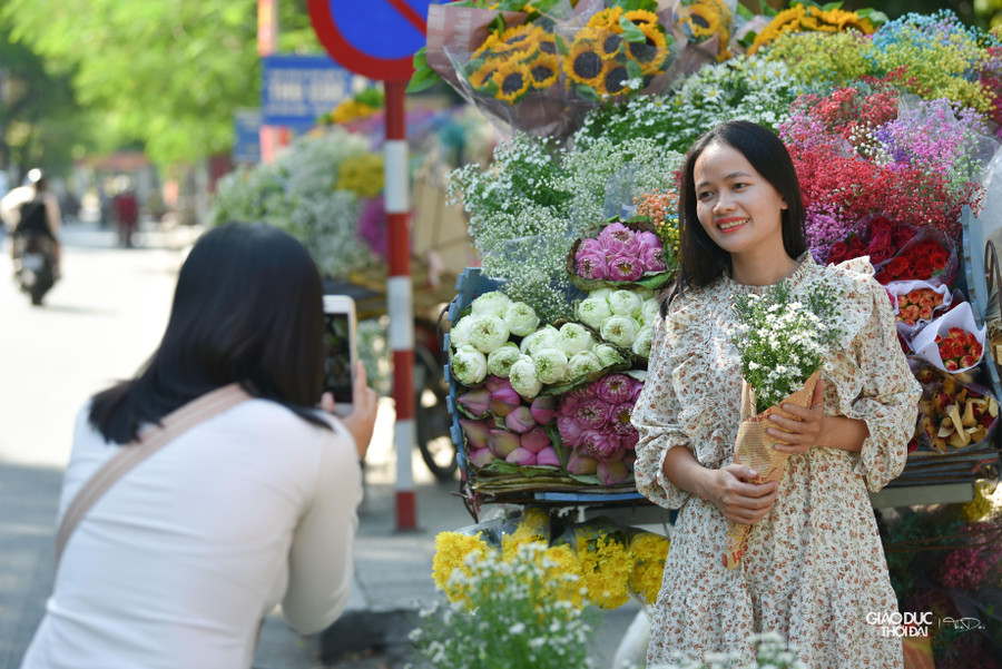 Hoa thạch thảo xinh đẹp là thế nên thường được người ta nâng niu, trân trọng.