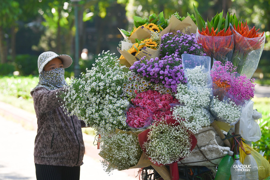 Các chàng trai thường chọn hoa tím bó lại cẩn thận dành tặng cho người mình yêu với mong muốn sẽ được bên nàng suốt cuộc đời và thể hiện cho nàng biết tình cảm duy nhất, trọn vẹn chỉ dành cho nàng.