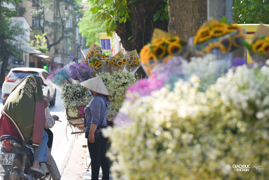 Vào những ngày này, trên nhiều tuyến phố tại Hà Nội những xe chở đầy hoa đẹp lung linh dưới cái nắng mùa thu.