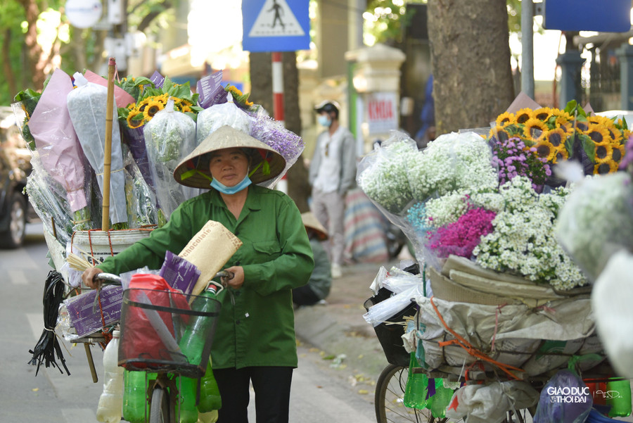 Thạch thảo đơm cánh mỏng quanh năm nhưng mùa này là rộ nhất, kéo dài mãi cho đến cuối thu, khi mà một số loài hoa khác đã bắt đầu tàn úa.