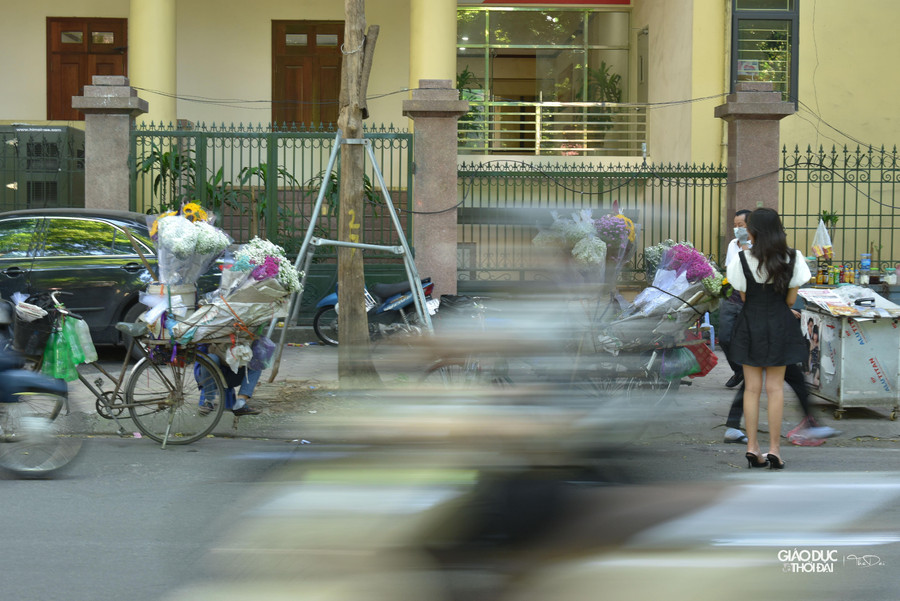 Đây cũng là lý do thạch thảo rất nhiều bạn trẻ yêu thích loài hoa này.