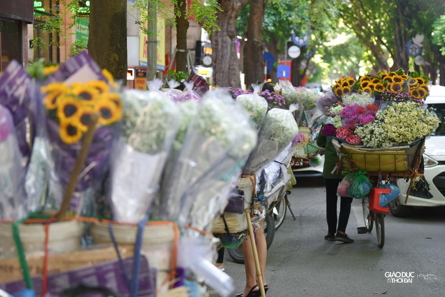 Hoa thạch thảo nở muộn, e ấp và khiêm nhường, mềm mại và thanh tú, không gợn chút kiêu sa.