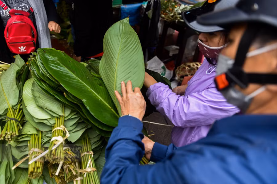 Càng những năm gần đây lượng tiêu thụ lá dong lại càng chậm.