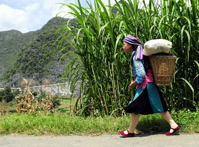 Thiếu nữ Mông trắng sải bước trên con đường Hạnh Phúc qua Mã Pì Lèng. Con đường được dựng xây bằng máu và mồ hôi của hàng vạn nhân công những năm kháng chiến - kiến quốc