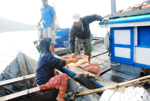 Những người đàn bà trên sóng dữ biển khơi ảnh 3 Sau mỗi chuyến biển, những người phụ nữ này lại trao đổi các sản phẩm với các ghe bạn.