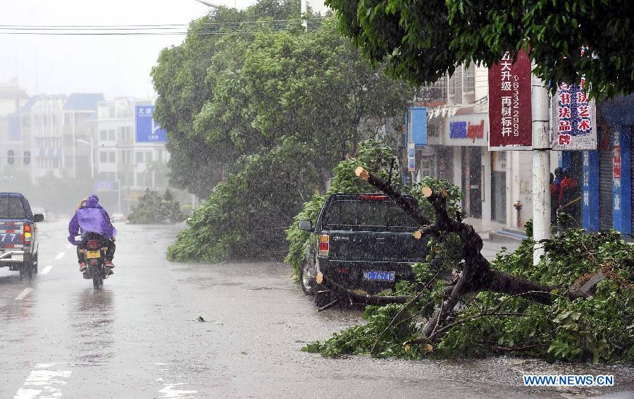 Bão Nesat tàn phá Trung Quốc, 58.000 người sơ tán ảnh 3