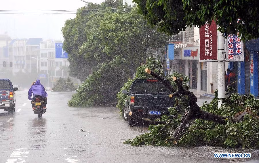 Bão Nesat tàn phá Trung Quốc, 58.000 người sơ tán ảnh 3