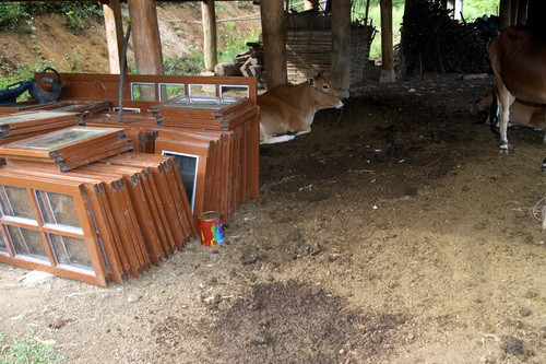 Cửa nhà văn hóa được để tạm “kho” là gầm sàn cùng với phân gia súc.