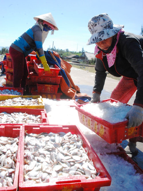 Những người đàn bà trên sóng dữ biển khơi ảnh 4 Thành quả sau những chuyến biển