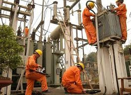 Tập đoàn điện lực Việt Nam không có khả năng chi trả nợ