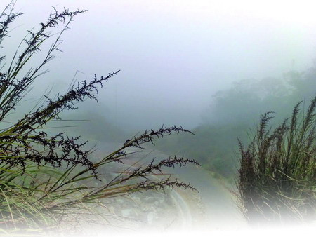 Hương trong "hương"