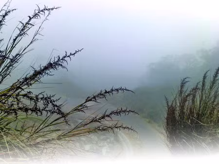 Hương trong "hương"