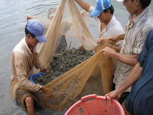 Tăng giá để... tránh thuế chống bán phá giá