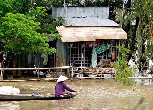 Trên những dòng kênh thoát lũ ra biển Tây