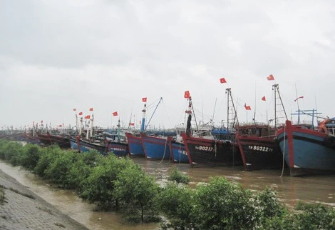 Bình Định: Đảm bảo an toàn cho ngư dân, tàu thuyền trong mùa mưa bão