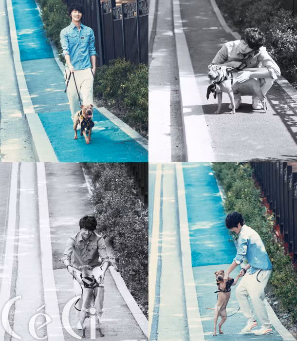 Sao Hàn thể hiện tình yêu với thú cưng ảnh 2 Jung Il woo