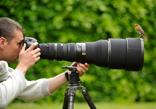 A cheeky robin plays peek-a-boo with a photographer trying to take its picture. Edwin Kats says he was sure the canny bird was playing games with him. Whenever Edwin tried to capture her on camera she hopped on to his lens, preventing him from getting the shot. Frustrated with his hide-and-seek bird, Edwin set up a remote camera so he could photograph her while perched on his lens.