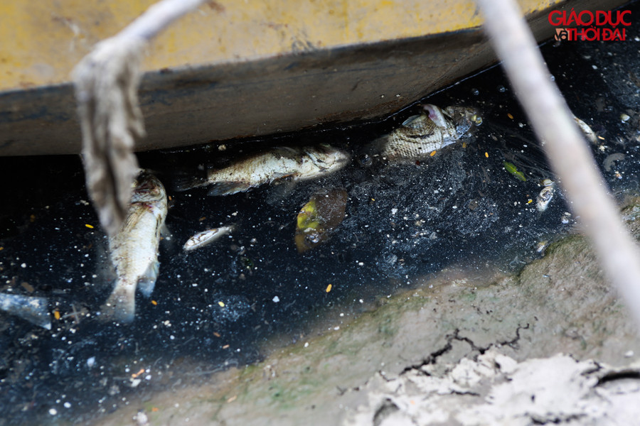 Trước đó, Công ty Thoát nước Hà Nội đã cho mở cửa xả hơn 1 triệu m3 nước từ hồ Tây ra sông Tô Lịch