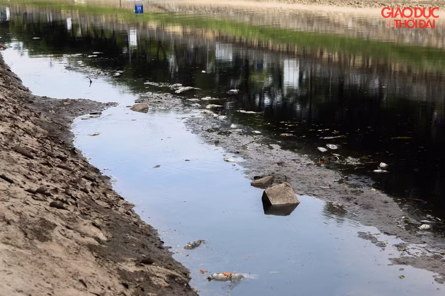 Ông Hùng, người dân sinh sống tại đường Nguyễn Đình Hoàn (quận Cầu Giấy, Hà Nội) cho biết: “Sau gần 1 tháng nước tại đây giảm mùi chúng tôi rất mừng. Nhưng chỉ sau xả nước vài ngày, cá chết và mùi nước sông Tô Lịch lại trở nên rất khó chịu, nhất là với thời tiết Hà Nội nắng nóng như thế này ”.