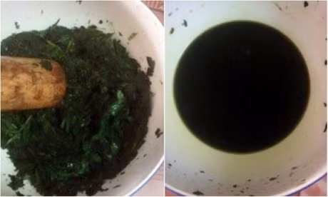 Bai thuoc quy chua benh tu qua nhot khong the khong biet - Anh 4