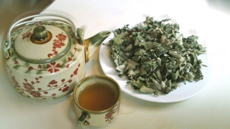 Bài thuốc quý chữa bệnh từ quả nhót không thể không biết - Ảnh 6 Bai thuoc quy chua benh tu qua nhot khong the khong biet - Anh 6