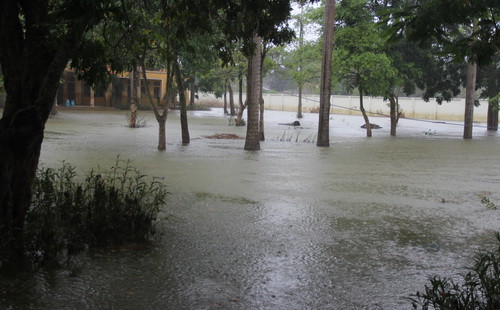 Sáng 7/8, khu vực xã Nam Phương Tiến trời vẫn tiếp tục mưa to, khiến nhiều thầy, cô giáo lo lắng nước sẽ tiếp tục dâng cao Sáng 7/8, khu vực xã Nam Phương Tiến trời vẫn tiếp tục mưa to, khiến nhiều thầy, cô giáo lo lắng nước sẽ tiếp tục dâng cao