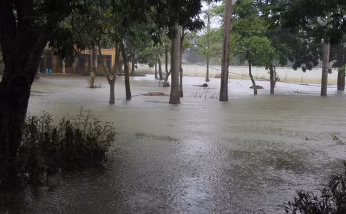 Sáng 7/8, khu vực xã Nam Phương Tiến trời vẫn tiếp tục mưa to, khiến nhiều thầy, cô giáo lo lắng nước sẽ tiếp tục dâng cao Sáng 7/8, khu vực xã Nam Phương Tiến trời vẫn tiếp tục mưa to, khiến nhiều thầy, cô giáo lo lắng nước sẽ tiếp tục dâng cao