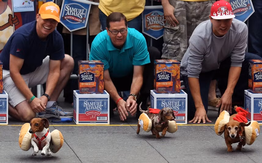 Dogs wearing hot dog costumes race at the 6th annual John Morrell ’Running of the Wieners’ race in Cincinnati, America 