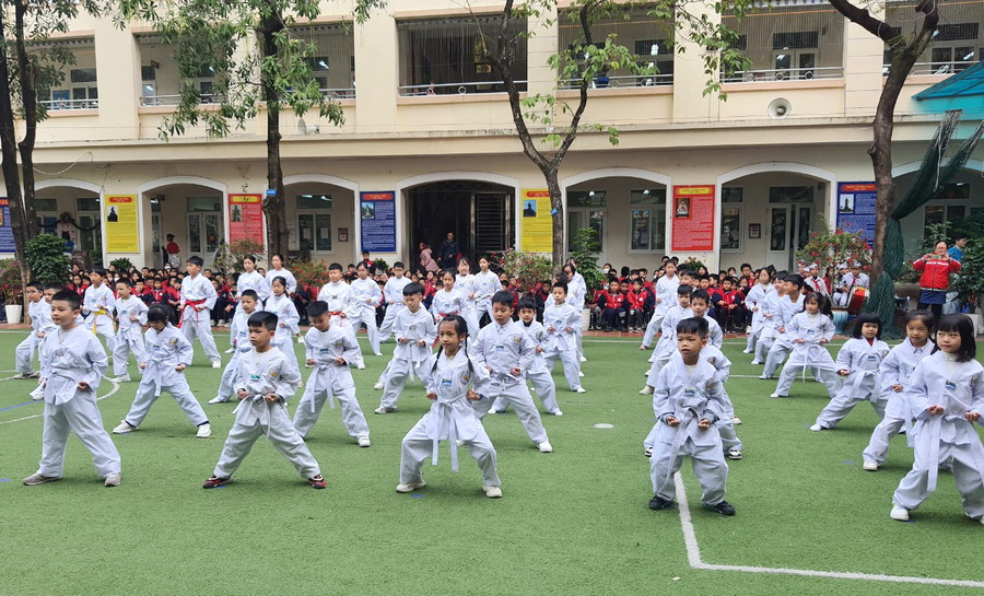 Màn đồng diễn võ thuật của học sinh.