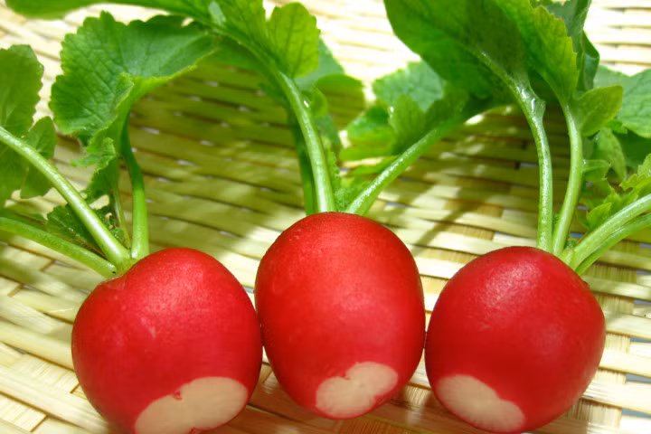 Những bài thuốc hay từ củ cải đỏ